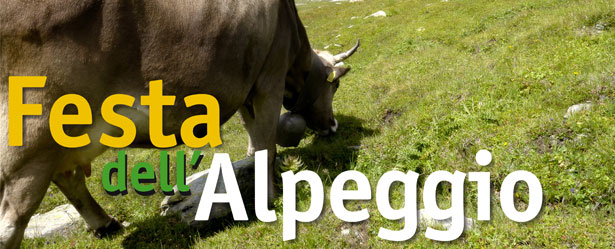 Festa Apleggio 2012